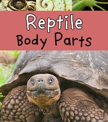 Reptile Body Parts -  Clare Lewis