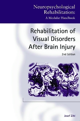 Rehabilitation of Visual Disorders After Brain Injury - Josef Zihl