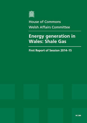 Energy generation in Wales -  Great Britain: Parliament: House of Commons: Welsh Affairs Committee
