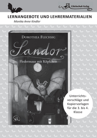 Dorothea Flechsig: Sandor ? Fledermaus mit Köpfchen - Monika Anne Kindler