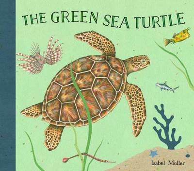 The Green Sea Turtle - Isabel Müller