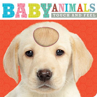 Touch and Feel Baby Animals - Make Believe Ideas