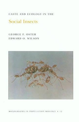 Caste and Ecology in the Social Insects. (MPB-12), Volume 12 - George F. Oster; Edward O. Wilson