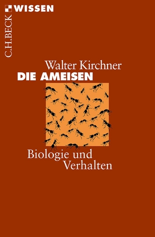 Die Ameisen - Walter Kirchner