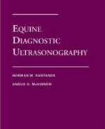 Equine Diagnostic Ultrasonography - Norman Rantanen, Angus McKinnon