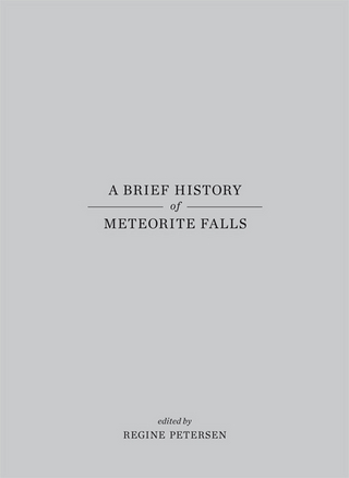 A Brief History of Meteorite Falls - Regine Petersen