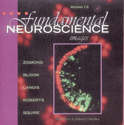 Fundamental Neuroscience - 