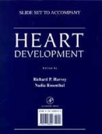 Heart Development Slide Set - Nadia Rosenthal, Richard P. Harvey