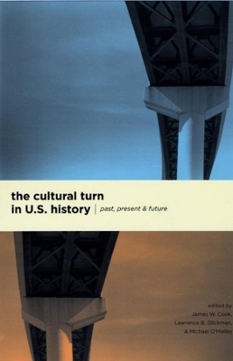 The Cultural Turn in U. S. History - James W. Cook