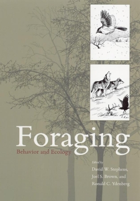 Foraging - 
