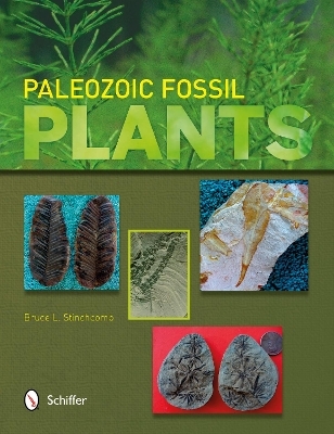 Paleozoic Fsil Plants - Bruce L. Stinchcomb
