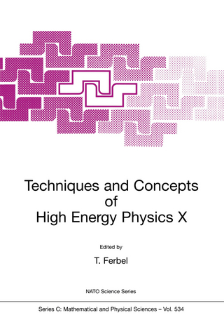 Techniques and Concepts of High Energy Physics X - Thomas Ferbel