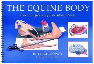 The Equine Body - Beth Maloney