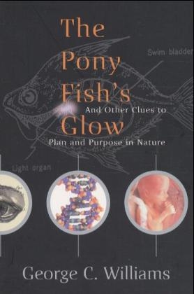 The Pony Fish's Glow - George Williams