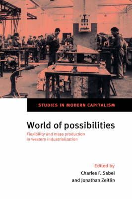 World of Possibilities - Charles F. Sabel; Jonathan Zeitlin