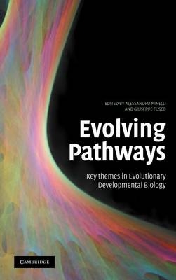 Evolving Pathways - Giuseppe Fusco