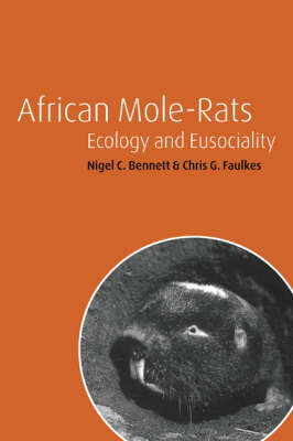 African Mole-Rats - Nigel C. Bennett; Chris G. Faulkes