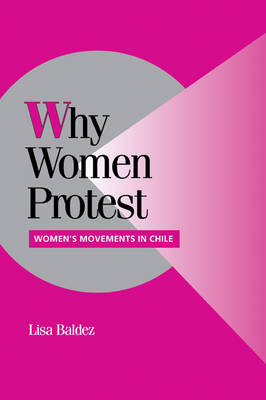 Why Women Protest - Lisa Baldez