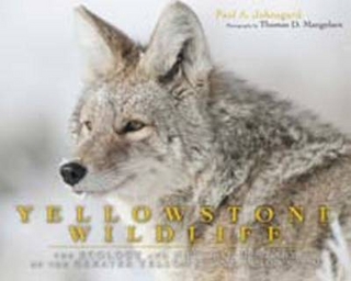 Yellowstone Wildlife - Johnsgard Paul A. Johnsgard