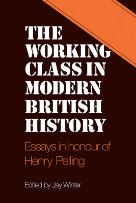 The Working Class in Modern British History - Jay Winter