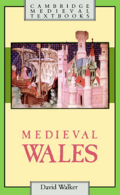 Medieval Wales - David Walker