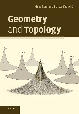 Geometry and Topology - Miles Reid; Balazs Szendroi