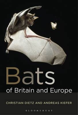 Bats of Britain and Europe - Kiefer Andreas Kiefer; Dietz Christian Dietz