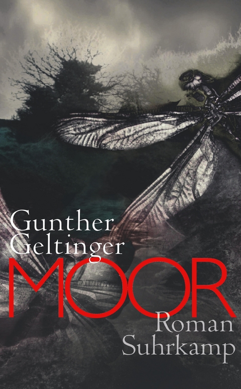 Moor - Gunther Geltinger