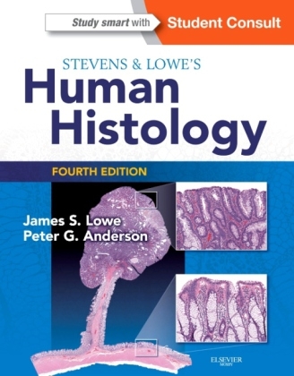 Stevens & Lowe's Human Histology - James S. Lowe, Peter G. Anderson