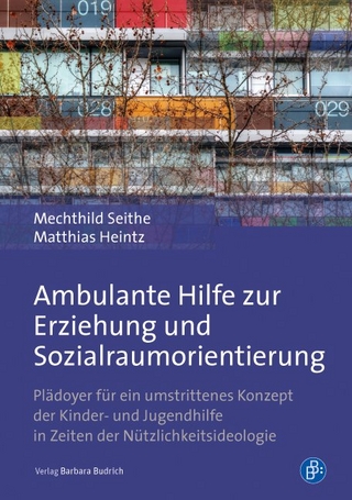 Ambulante Hilfe zur Erziehung und Sozialraumorientierung - Mechthild Seithe; Matthias Heintz