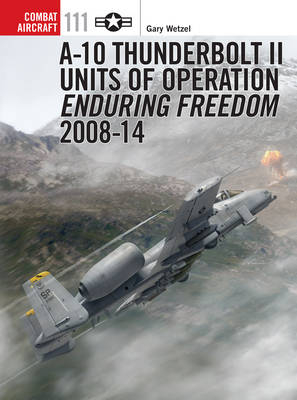 A-10 Thunderbolt II Units of Operation Enduring Freedom 2008-14 - Wetzel Gary Wetzel