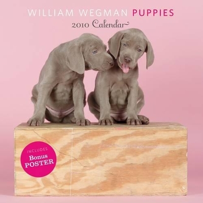 William Wegman Puppies 2010 Calendar - William Wegman