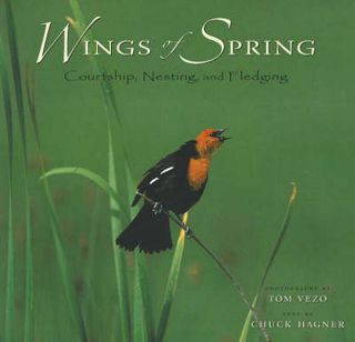 Wings of Spring - Chuck Hagner