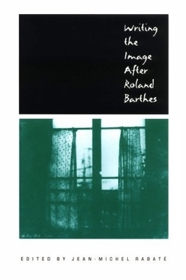 Writing the Image After Roland Barthes - Jean-Michel Rabaté