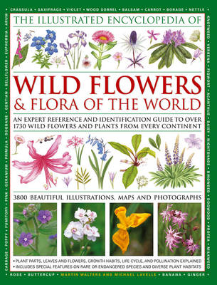 Illustrated Encyclopedia of Wild Flowers & Flora of the World - Martin Walters; Michael Lavelle