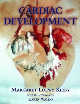 Cardiac Development - Margaret Loewy Kirby