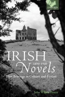 Irish Novels 1890-1940 - John Wilson Foster