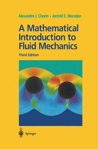 A Mathematical Introduction to Fluid Mechanics - Alexandre J. Chorin; Jerrold E. Marsden