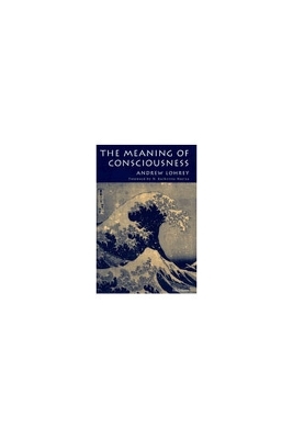 Meaning of Consciousness - Andrew Lohrey