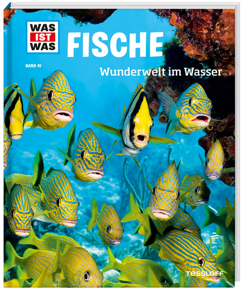 WAS IST WAS Band 41 Fische. Wunderwelt im Wasser - Nicolai Schirawski