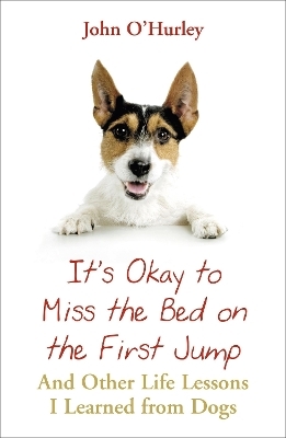It's OK to Miss the Bed on the First Jump - John O'Hurley