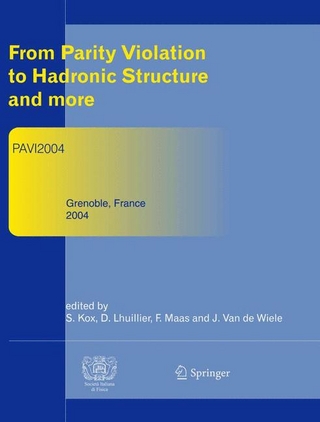 From Parity Violation to Hadronic Structure and more - Serge Kox; David Lhuillier; Frank Maas; Jacques van de Wiele