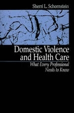 Domestic Violence and Health Care - Sherri Lynn Schornstein
