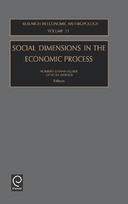Social Dimensions in the Economic Process - Norbert Dannhaeuser; Cynthia Werner