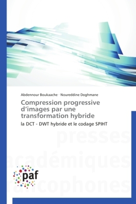 Compression progressive dÂ¿images par une transformation hybride - Abdennour Boukaache, Noureddine Doghmane