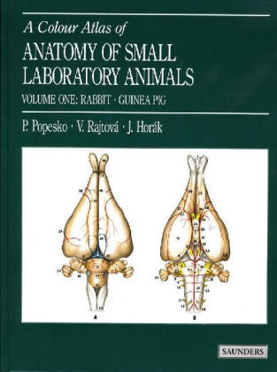 Colour Atlas of Anatomy of Small Laboratory Animals
