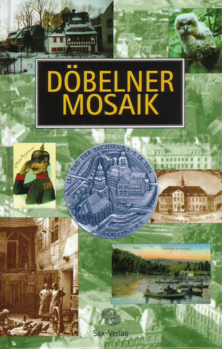 Döbelner Mosaik 2004 - Stadt Döbeln