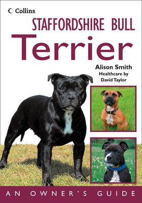 Staffordshire Bull Terrier - Alison Smith