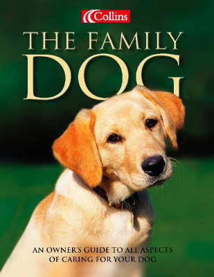 The Family Dog - David Taylor