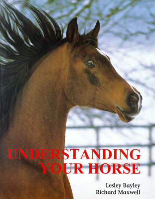 Understanding Your Horse - Lesley Bayley